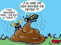 mouche10.jpg
