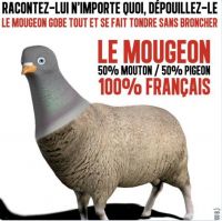 Nom du fichier=mougeon.JPG
Taille du fichier=94Ko
Dimensions : 766x765
Ajouté le : 08 Août 2020 mougeon.JPG