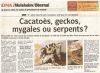 nac4.jpg