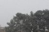 neige.JPG