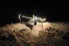 neige_5.jpg