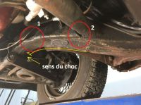 normal_6218178D-0919-49CF-B427-5C8C9EA3D681~0.jpeg