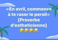 persil.jpg
