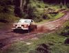 peugeot_504_rallye.jpeg