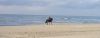 photo-le-touquet.jpg
