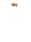 photo.jpeg