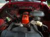 photo_austin_003-1.jpg