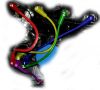 plug_wires2.JPG