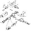 rearendb.gif