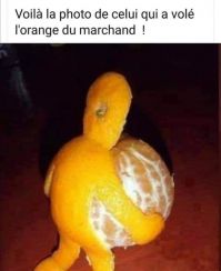 relou.jpg