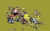 risata_gif4_~2.gif