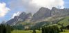 rosengarten2.jpg