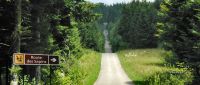 route-des-sapins.jpg