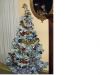sapin_noel_2006-2007.jpg