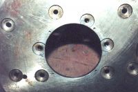 seal_02.jpg