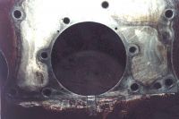 seal_03.jpg