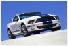 shelby-gt500-coupe.jpeg