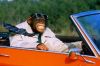singe_au_volant.jpg