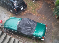 singinintherain.png