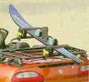 skiclips.jpg