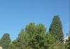 sky.JPG