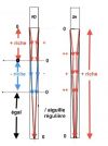 su_needle_difference~0.jpg
