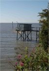 talmont_28129.jpg