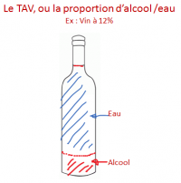 tav-vin.png