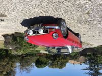 thumbnail_IMG_2494~0.JPG