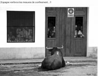 thumbnail~1.jpg