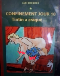 Nom du fichier=tintin.png
Taille du fichier=362Ko
Dimensions : 394x504
Ajouté le : 01 Avril 2020 tintin.png