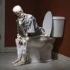 toilette.jpg