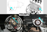 triumph_.png