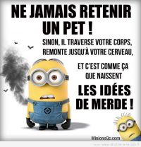 un_pet10.jpg
