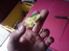 unnamed_28129~5.jpg