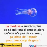 Nom du fichier=unnamed_28329~15.jpg
Taille du fichier=35Ko
Dimensions : 481x480
Ajouté le : 24 Janvier 2020 unnamed_28329~15.jpg