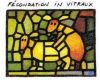 vitro.jpg