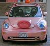 voiture_cochon.jpg