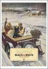 whisky_black_and_white_n_5129728_0.jpg