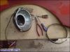 wing_DSC01819.jpg