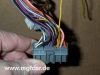 yellow_cp_4666.jpg