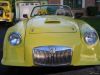 yellowmga2.jpg